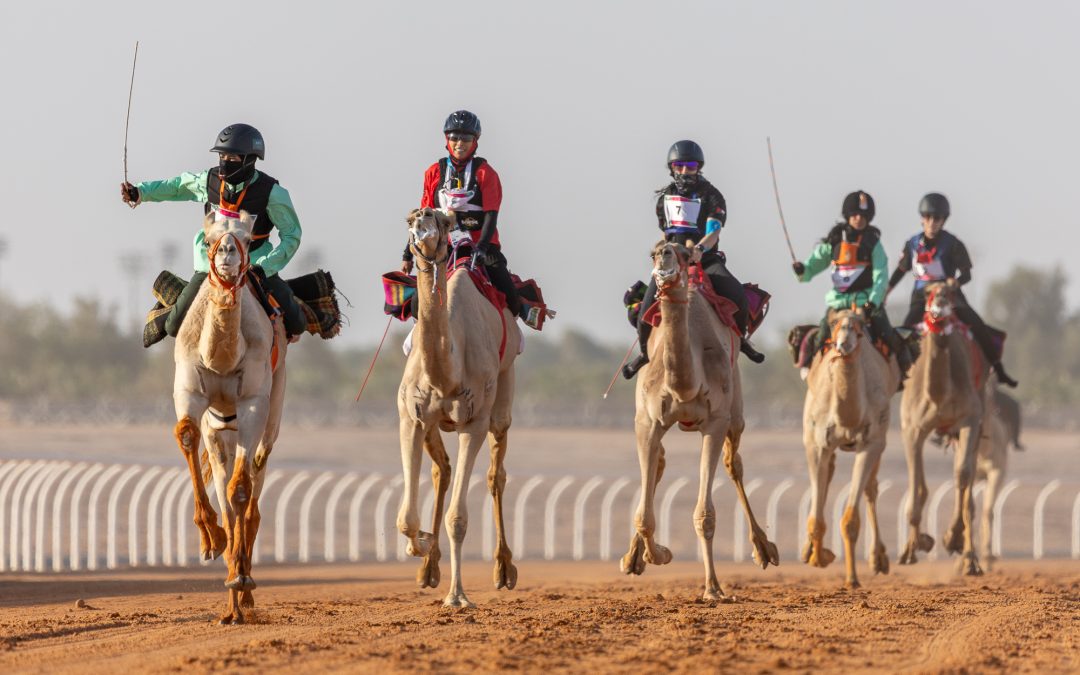 El rugido de Al Janadryah que impulsa al camel racing hacia su nueva era